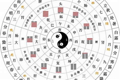 和的五行|和字五行属性是什么